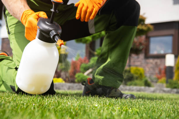 Best Emergency Pest Control  in Kendall Park, NJ