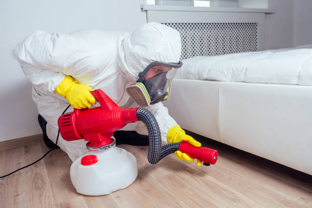 Best Affordable Pest Control Services  in Kendall Park, NJ