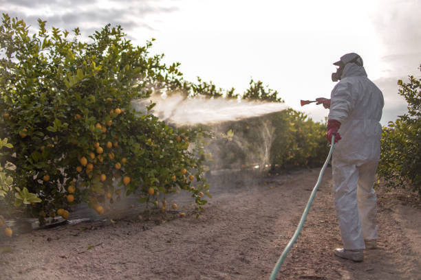 Best Termite Control Services  in Kendall Park, NJ