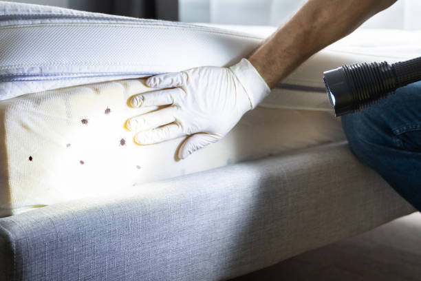 Best Flea Control Services  in Kendall Park, NJ