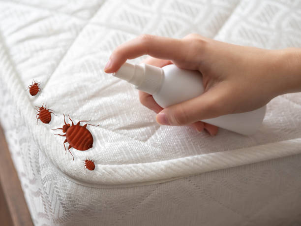 Best Local Pest Control Services  in Kendall Park, NJ