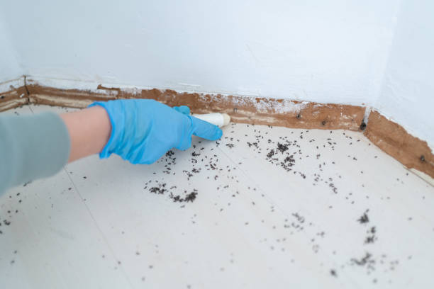 Best Pest Control Near Me in Kendall Park, NJ
