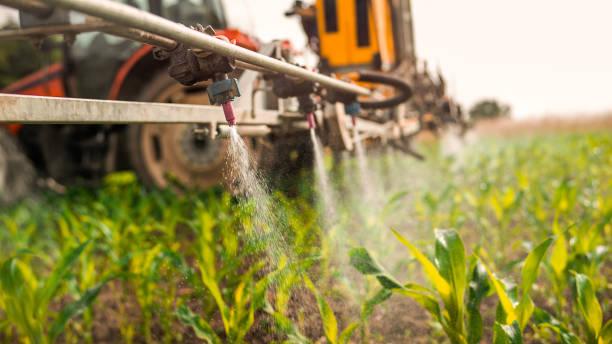 Best Commercial Pest Control Services  in Kendall Park, NJ